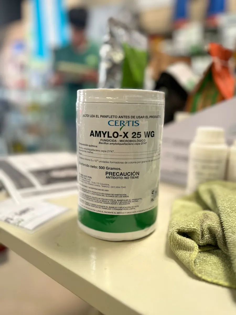 amylo