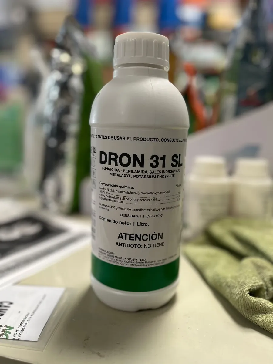 DRON 31 SL
