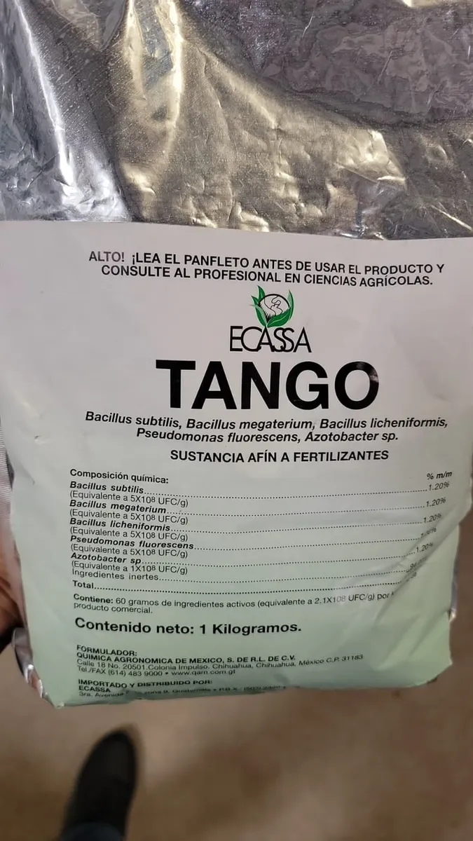 TANGO